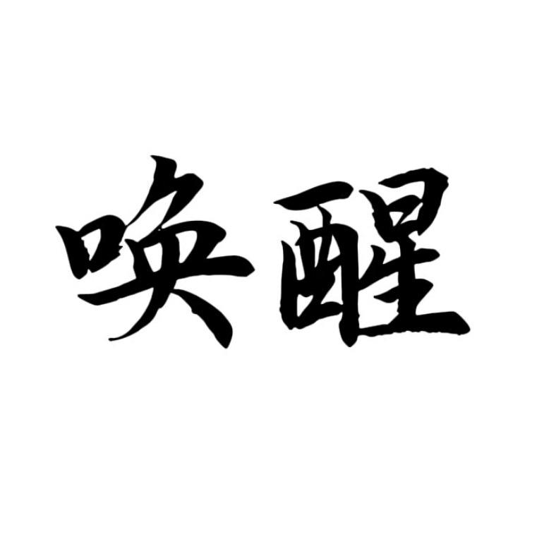 唤醒：发型定制