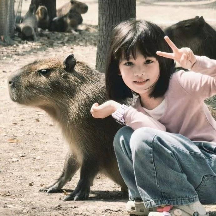 卢嫦安
