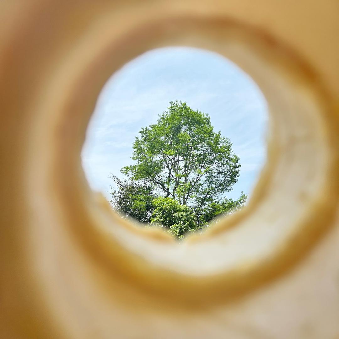 对方正在输入……