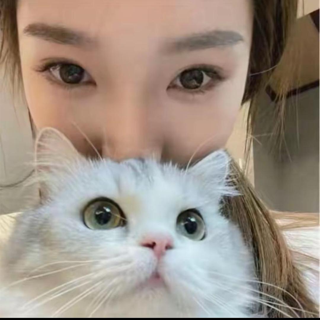 艺高人胆小