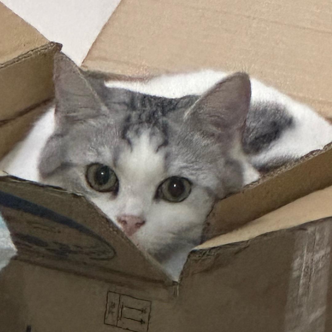 Niki.