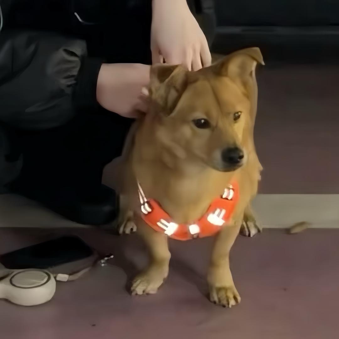 田雷你压我头发啦！