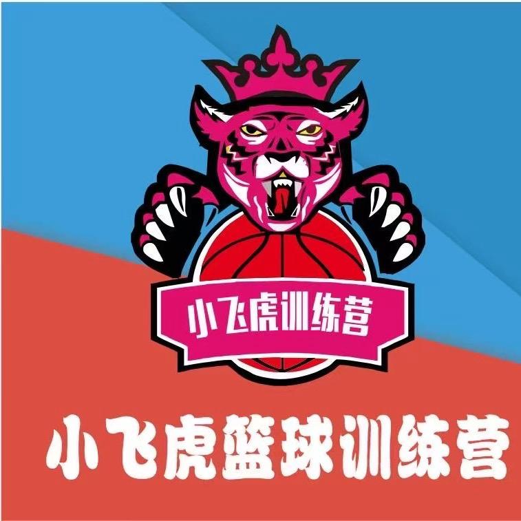 南宁小飞虎篮球训练营🏀