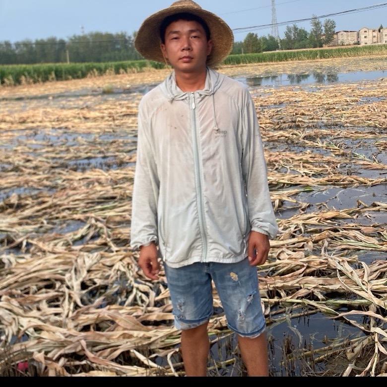 自由农场主