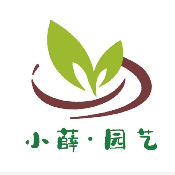 恒康居