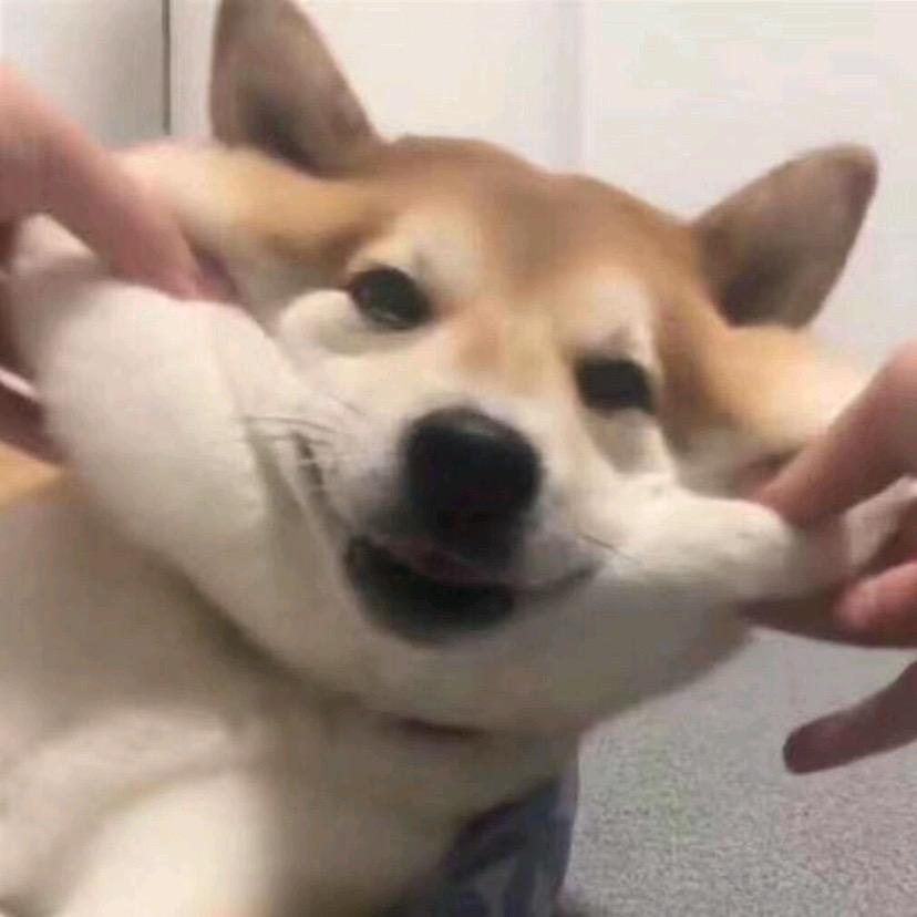 初五.