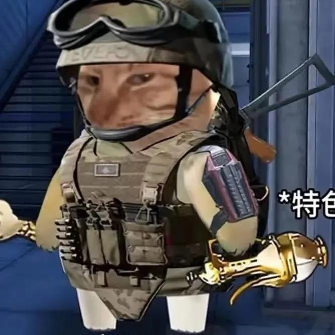 CSGO离帅（收急出版）