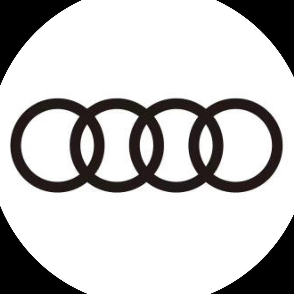 一汽奥迪新能源-舟山轿辰润达