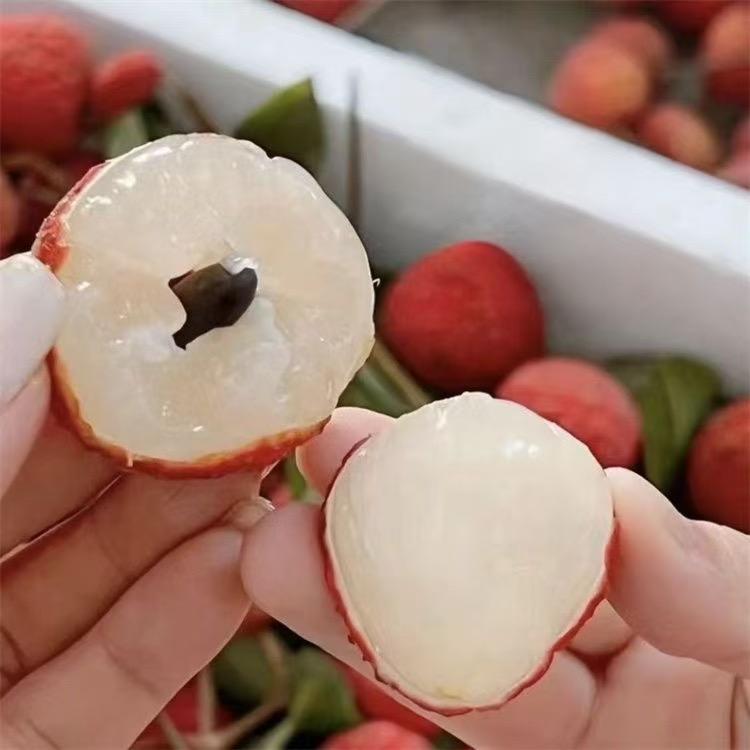 众益果树苗木专营店