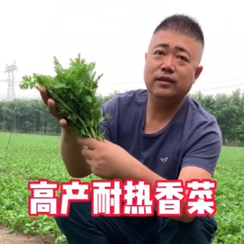 富爱舍（Fresh ）果蔬小菜园