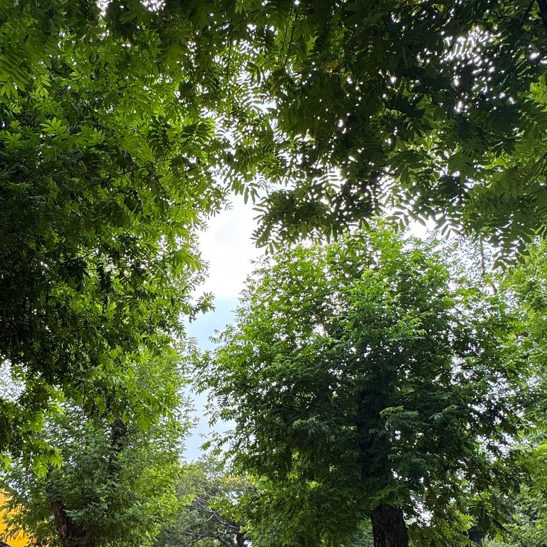 今天妳也努力了吗