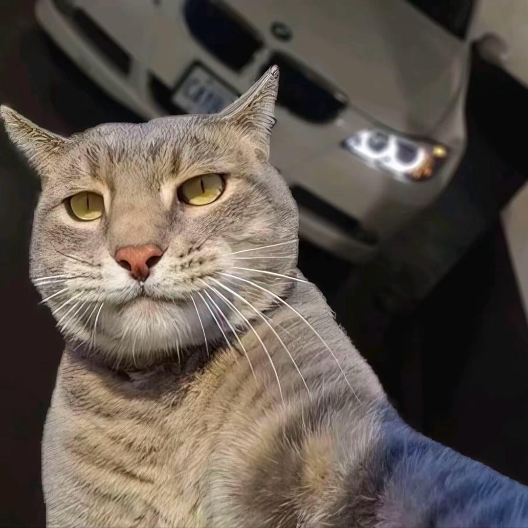 🐾  G