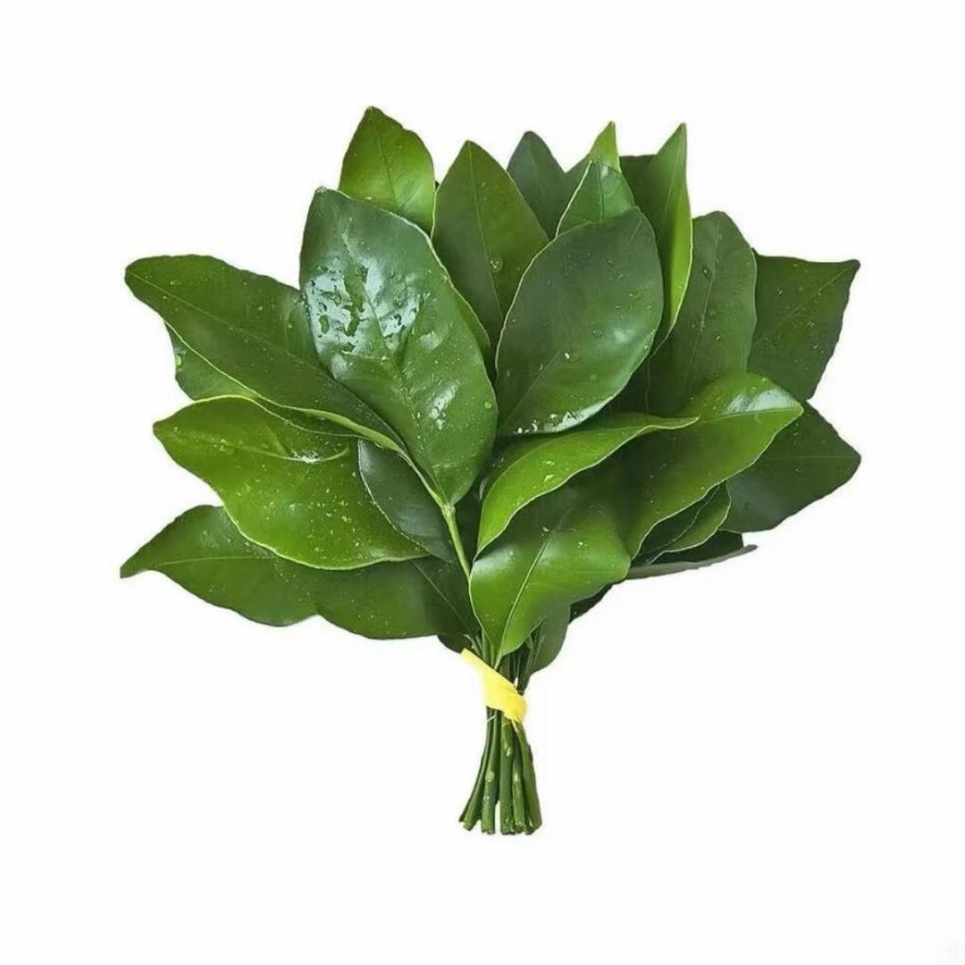 不发胖ᕕ只发财ᐛ)ᕗ