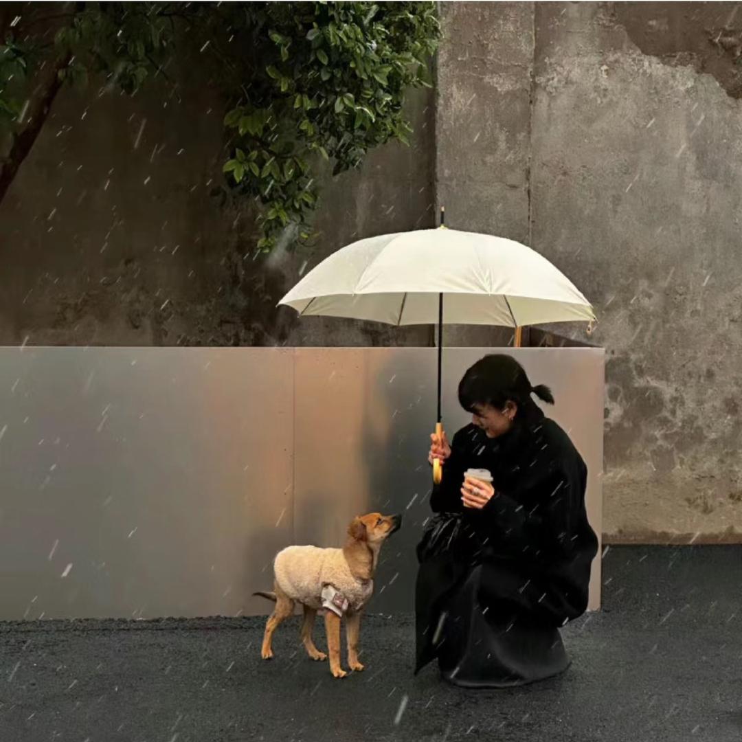 欢心&