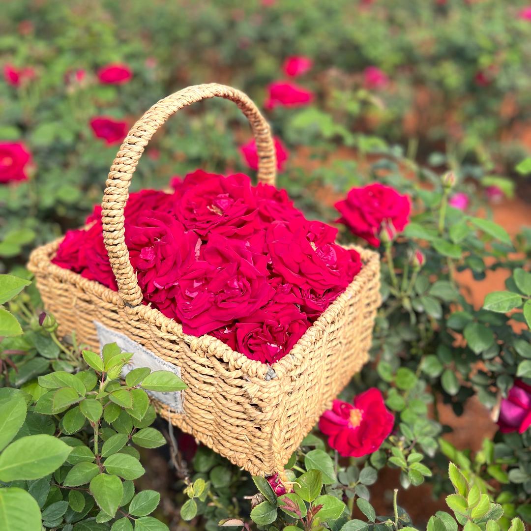 是个小姐姐呀！