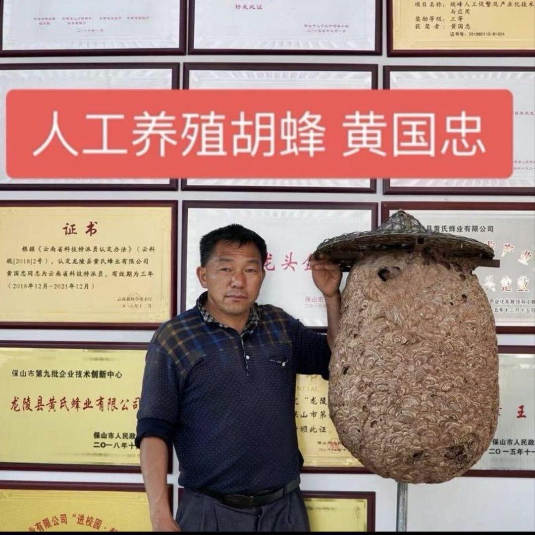 龙陵县黄氏蜂业（黄国忠）