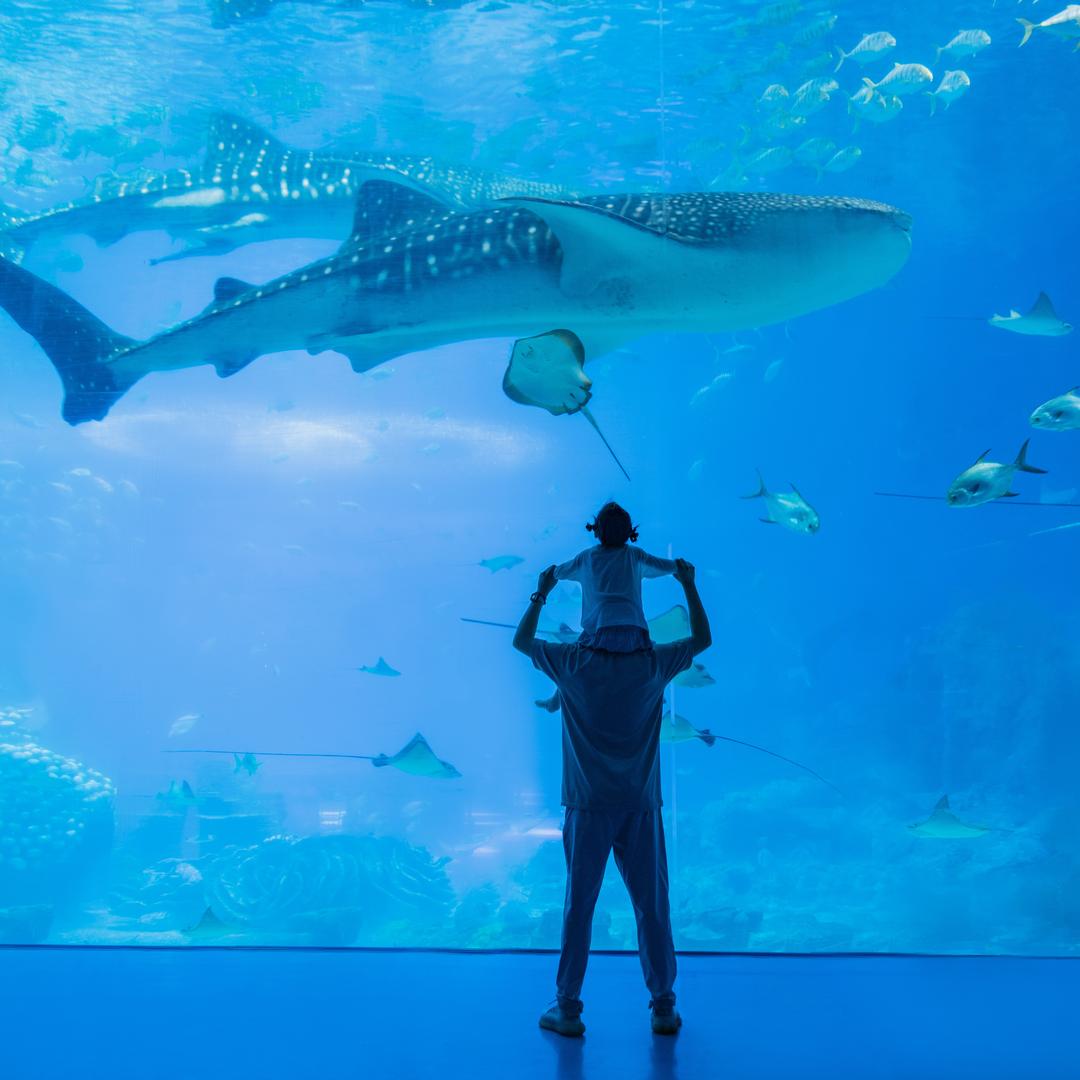 鑫诚的美好食光