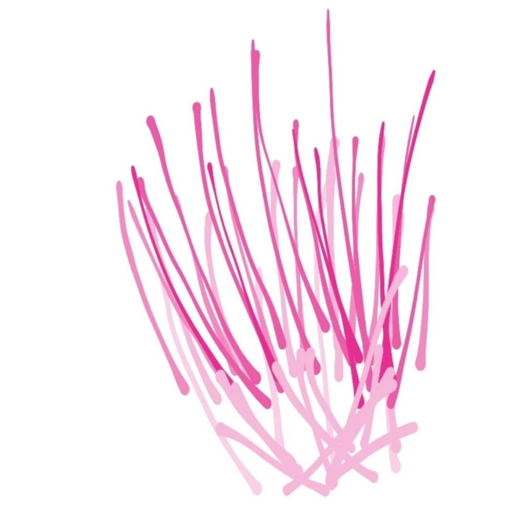 花粉跨境一站式