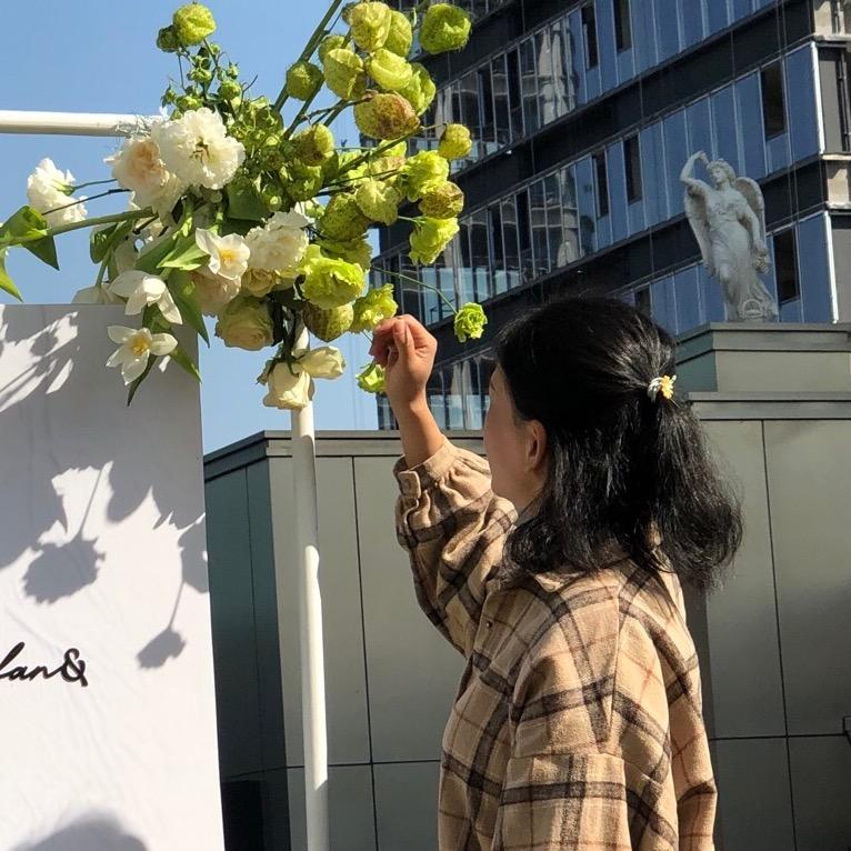 紫菜