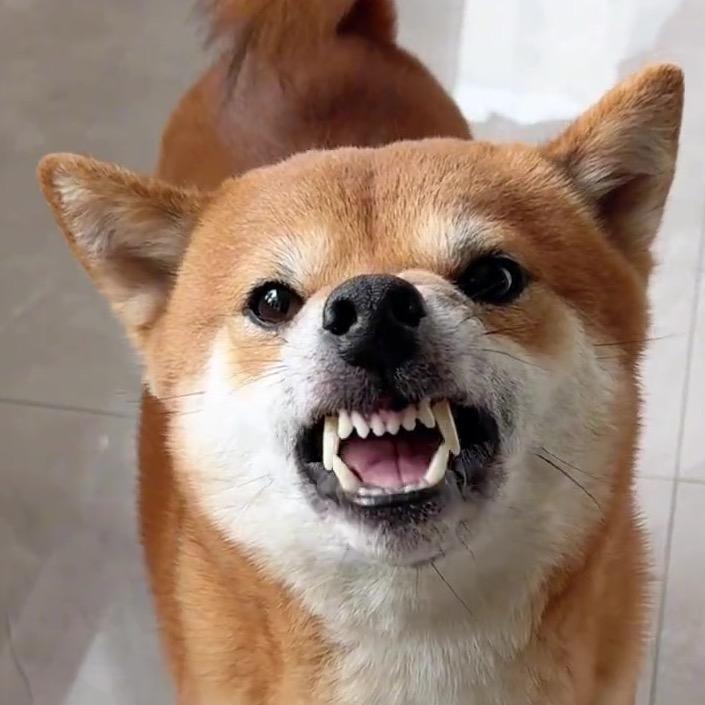 我是老大