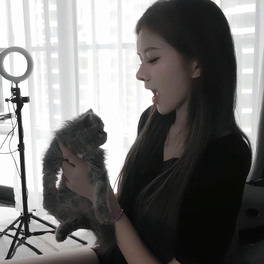 叮当猫