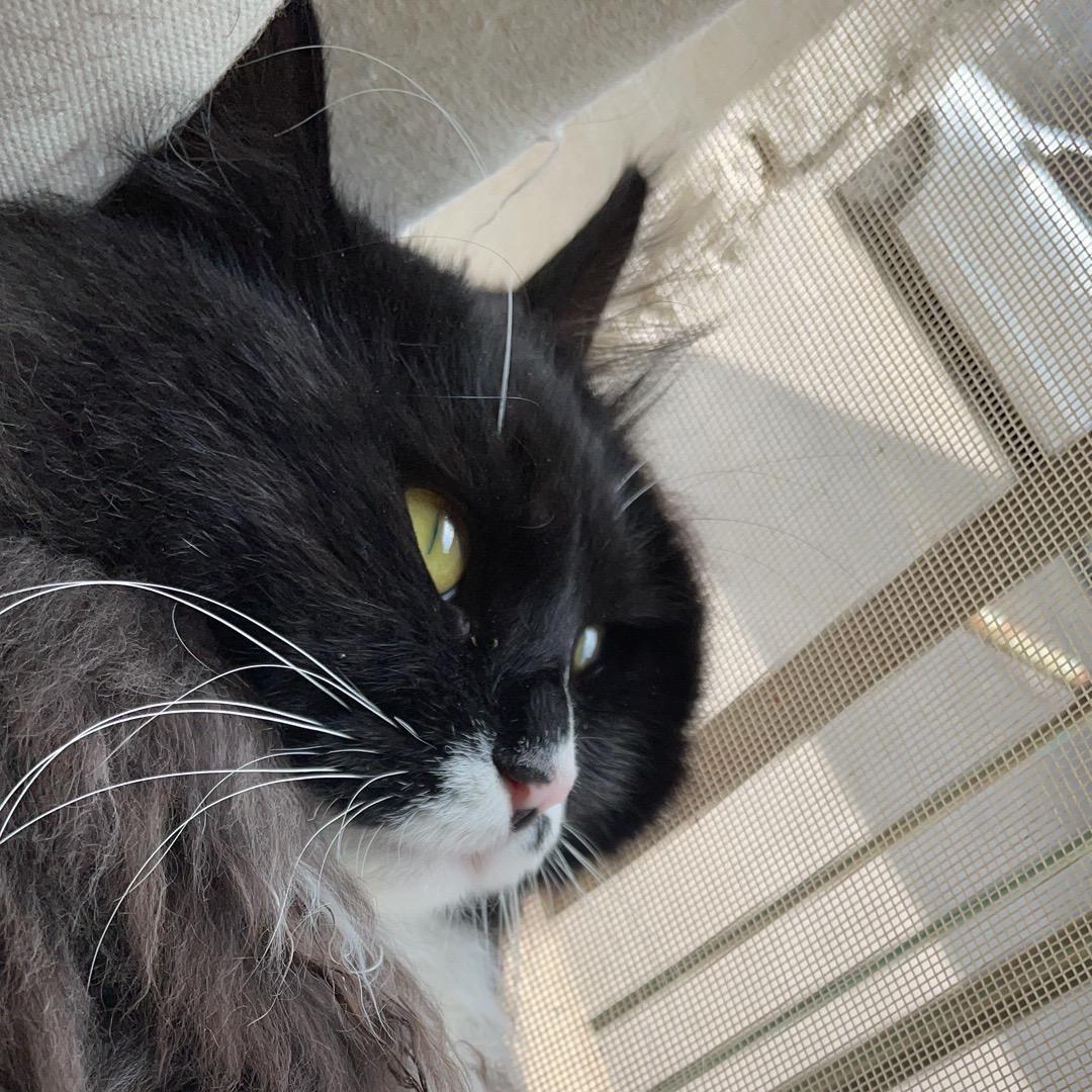 萍水相逢💦💦💦