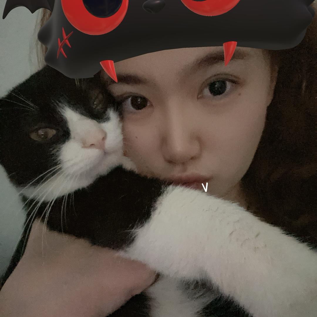睡个好觉