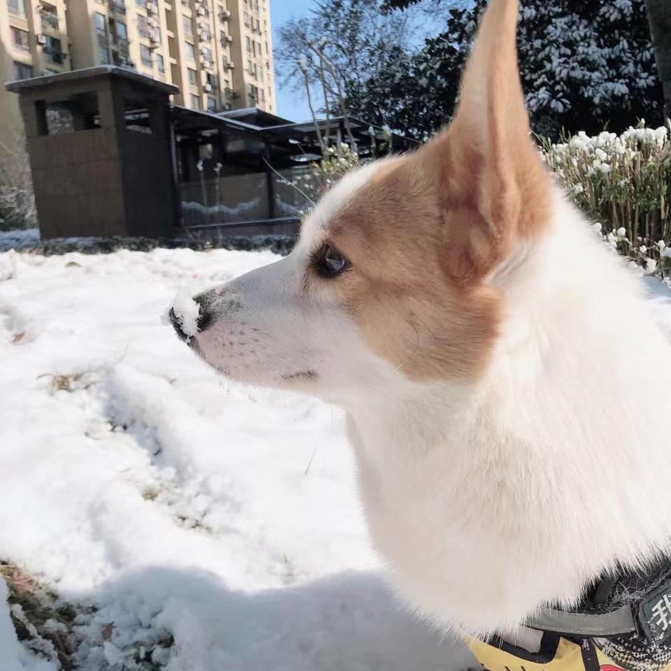 家有小板凳