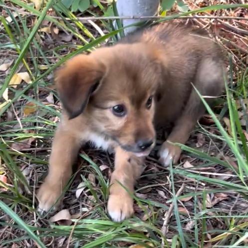 南安市洪濑镇凯细九百货商行(个体工商户)