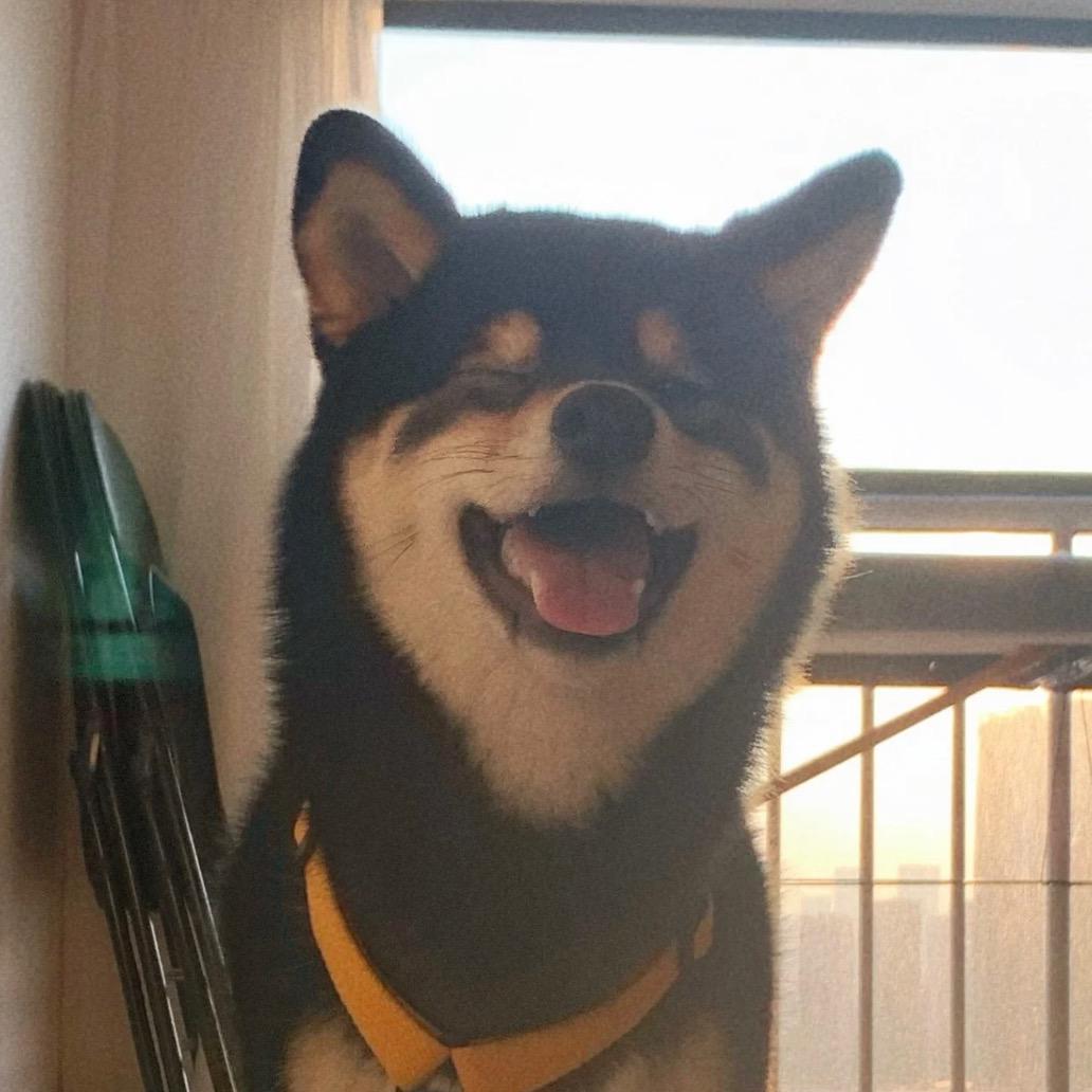 是阿川啊-
