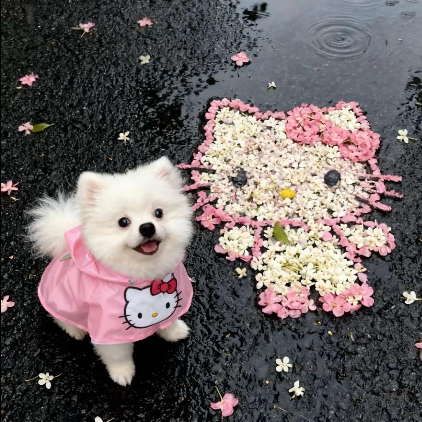 💦 Lꕁing 🌈