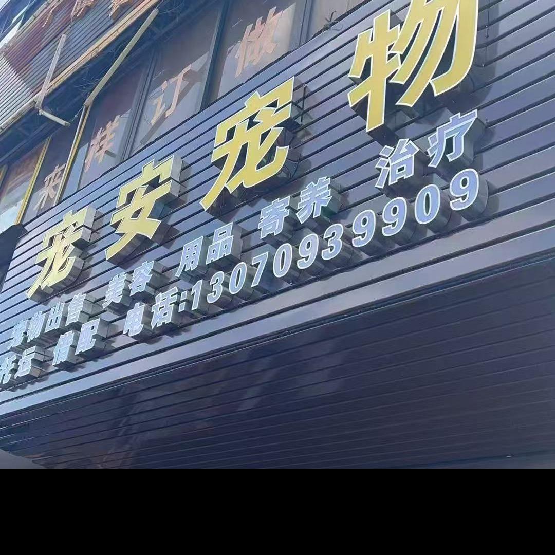 宠安宠物专家