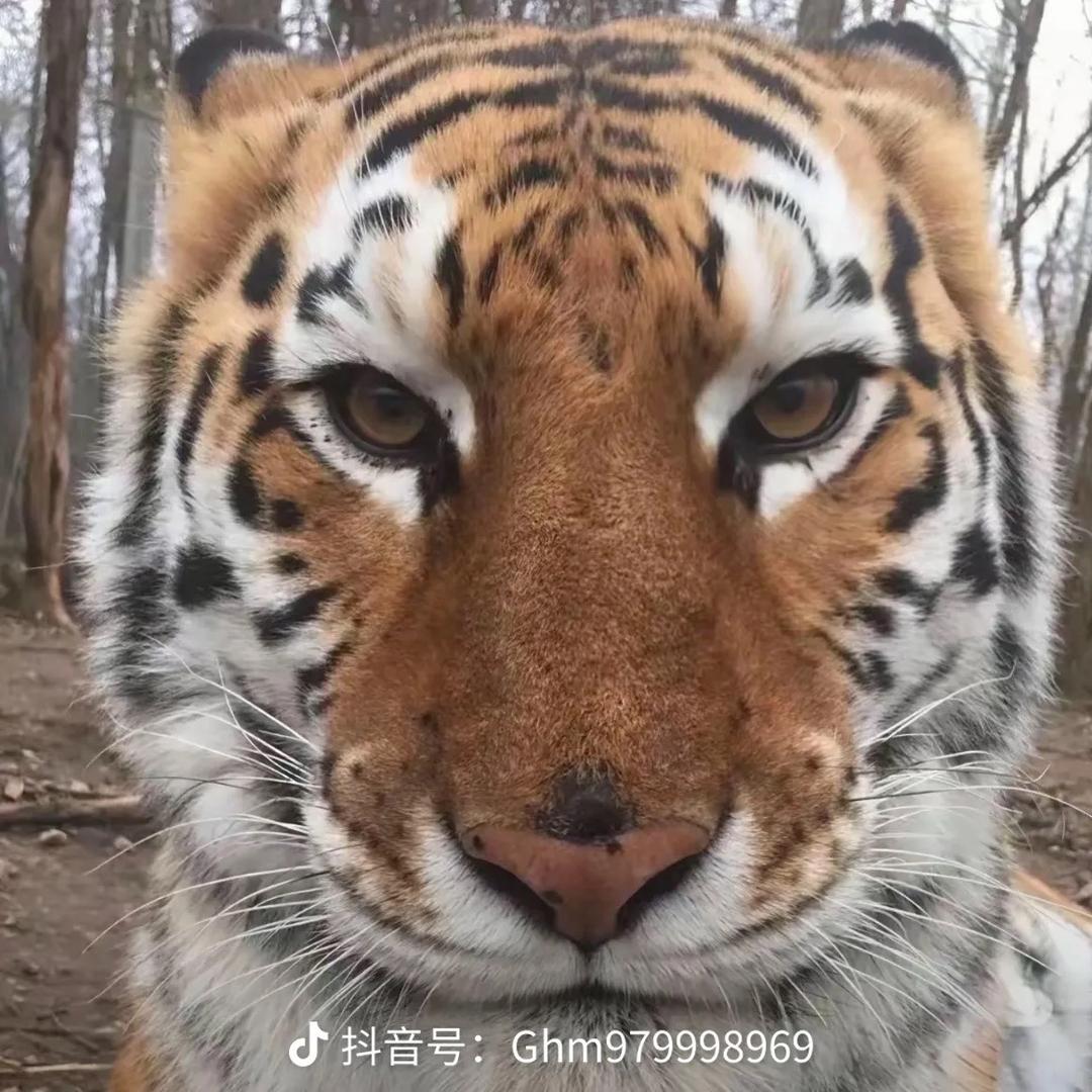 泡芙～