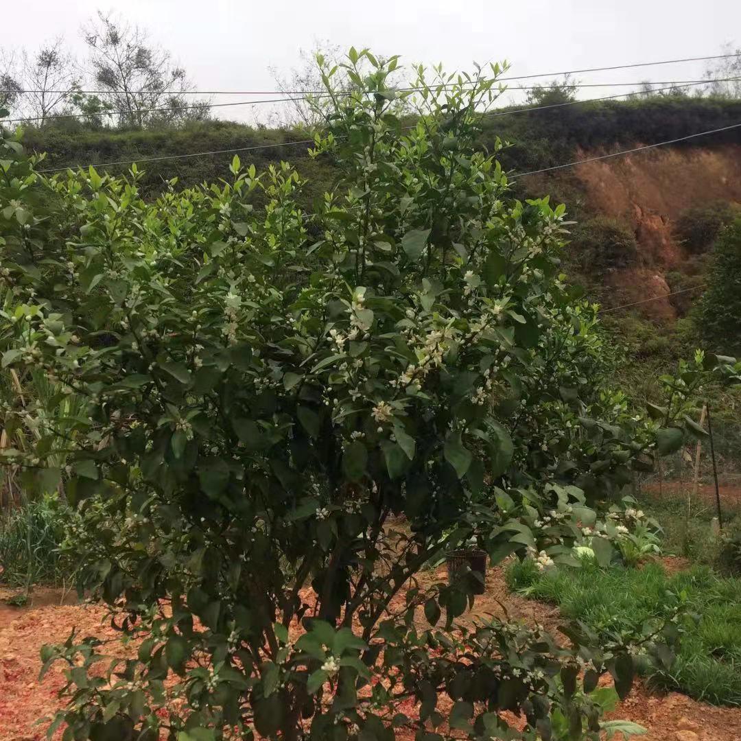 🌈 ℳ̶̶̶̶♡̶҉晚风ℳᥫᩣ