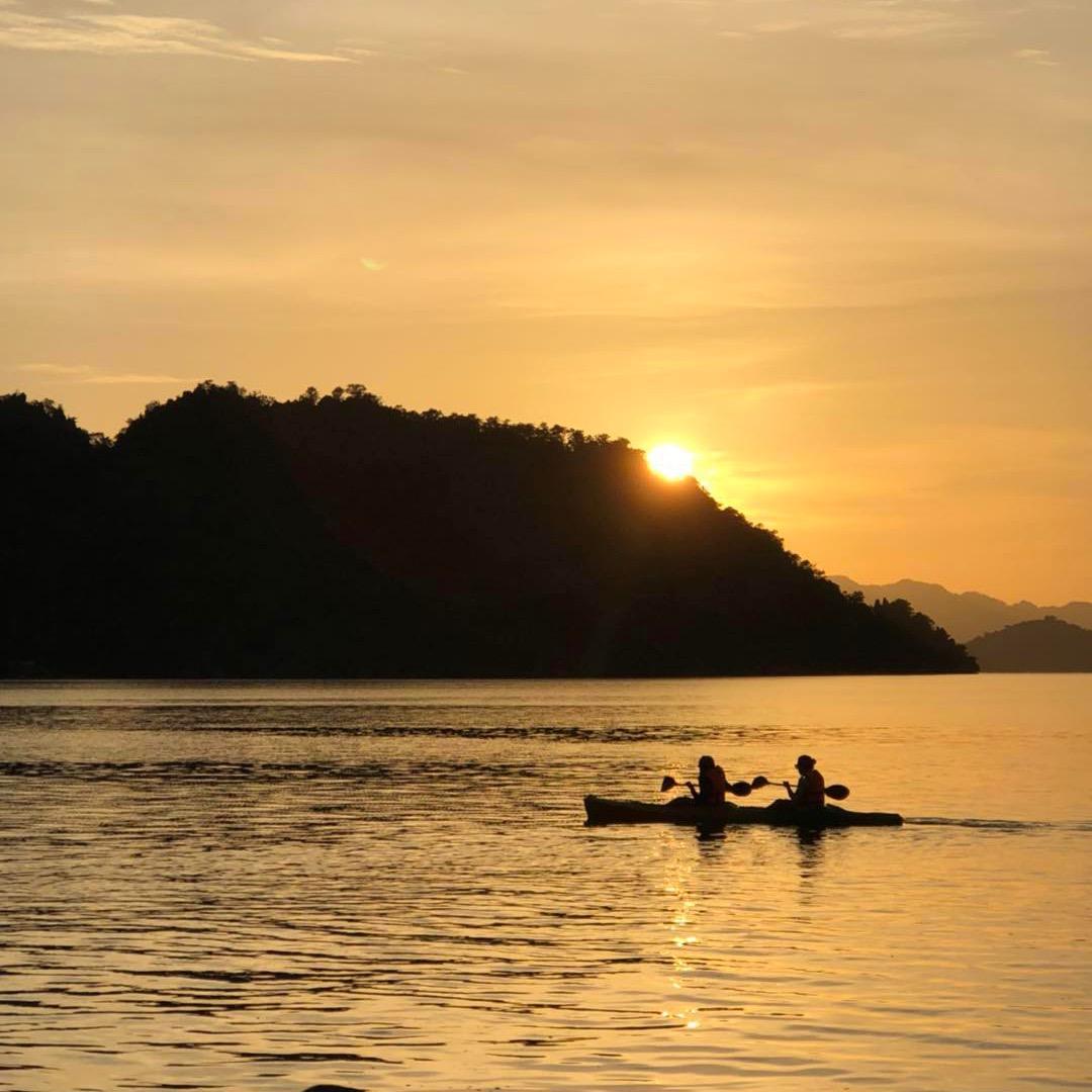 哈哈嘿嘿嚎嚎🌹