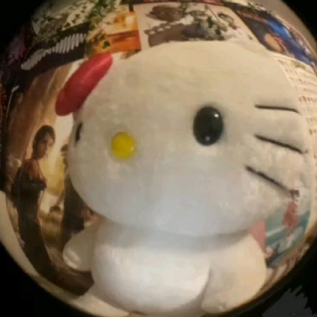 凯蒂catʸ