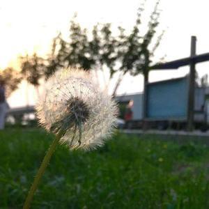 小丸子大片场@抖音