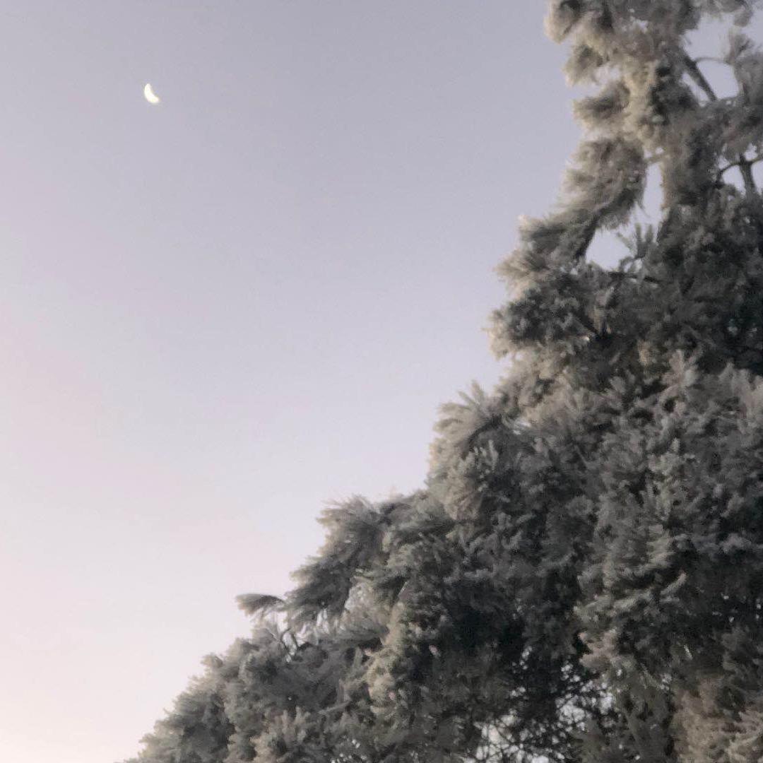 清风明月
