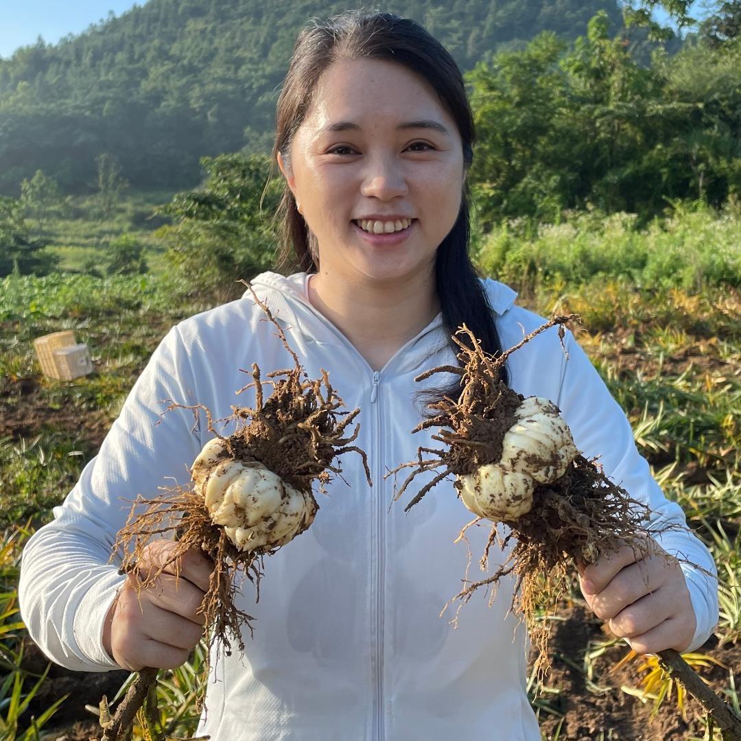 啊美滋补汤料