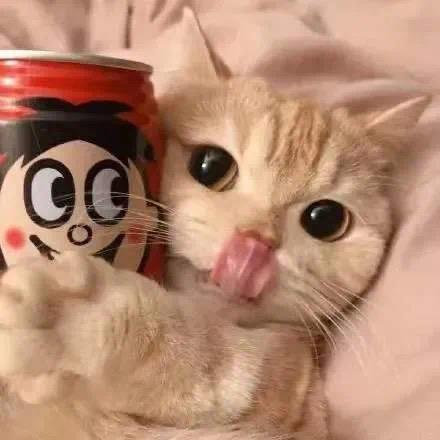 世界上的另一个我