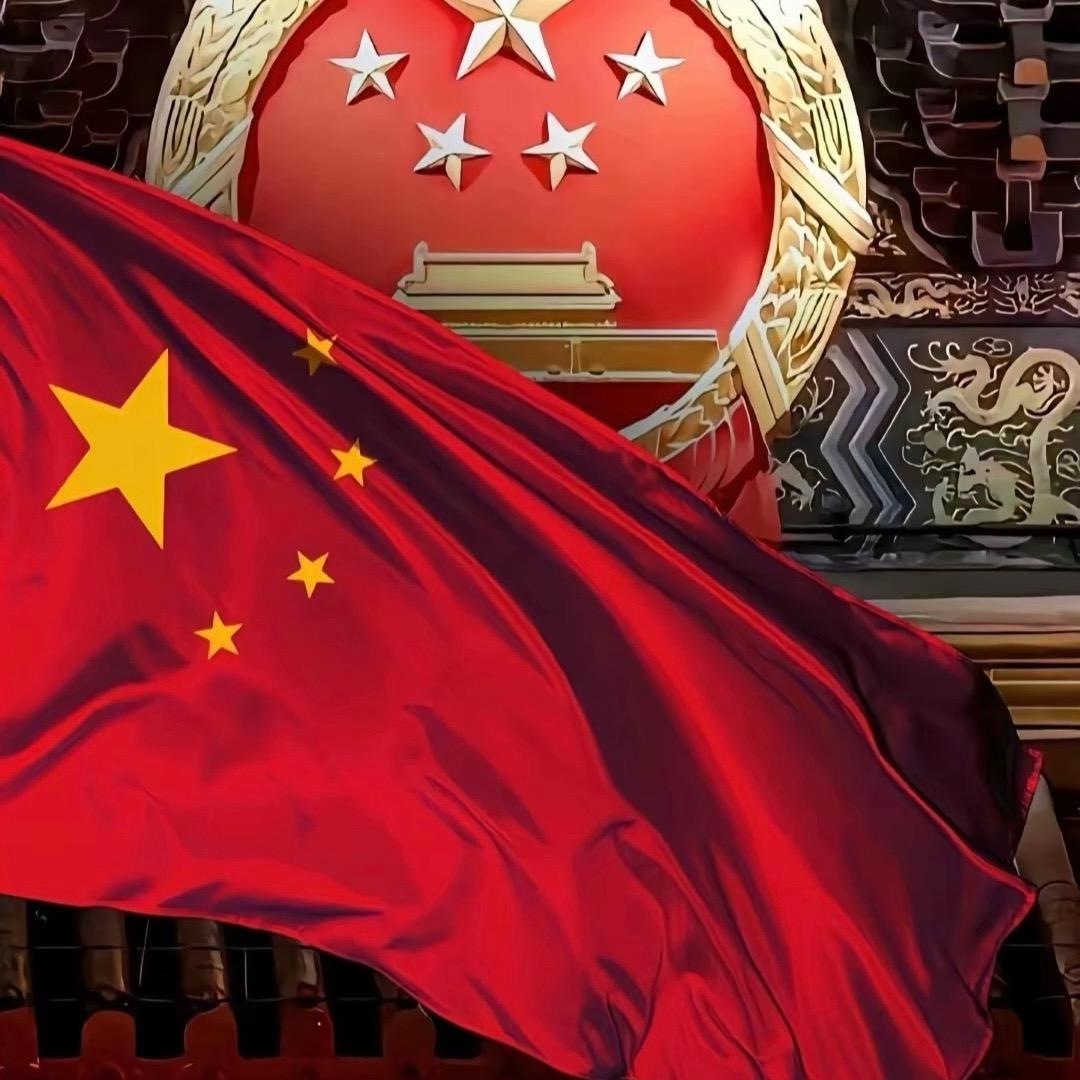 今天晚上吃鱼鱼