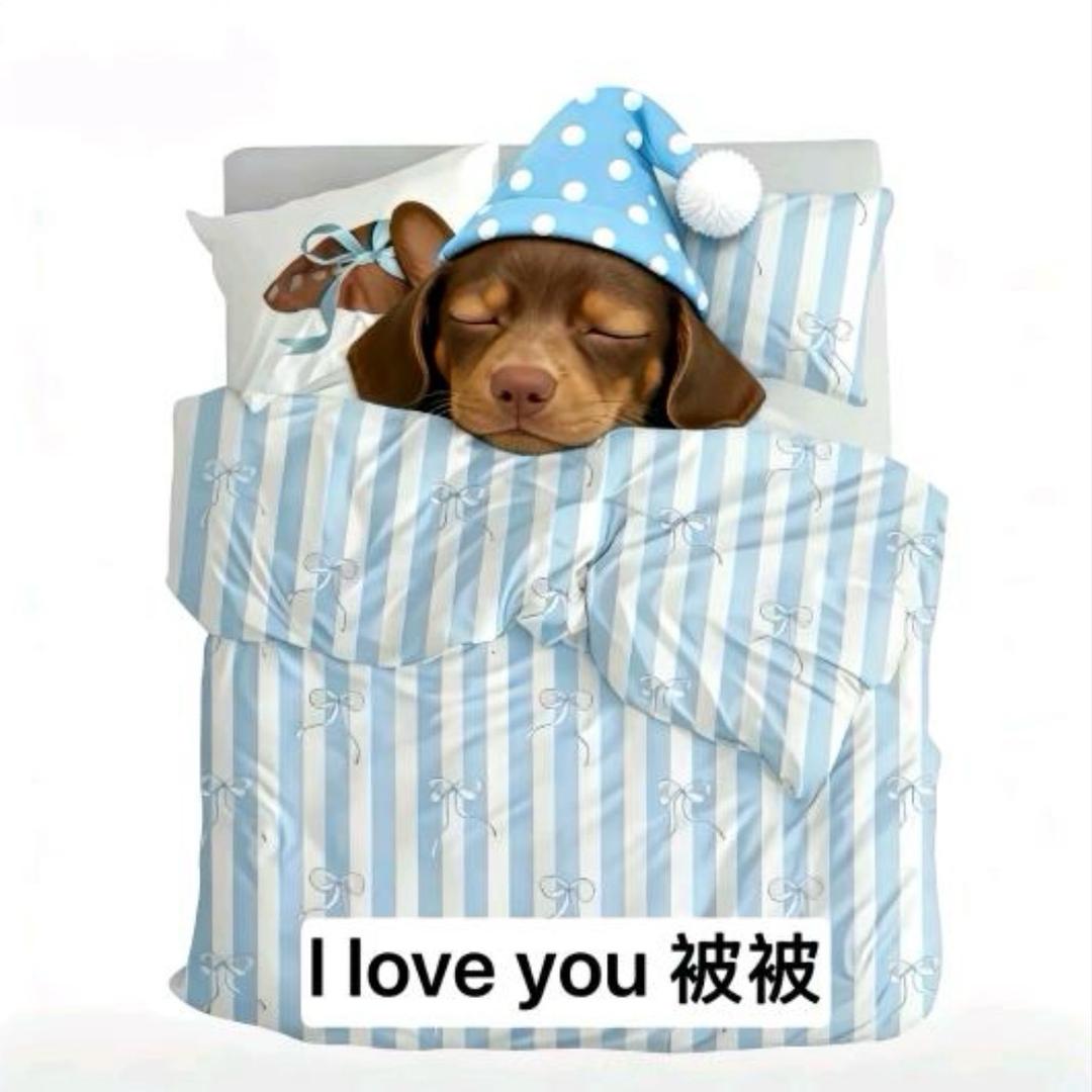 我不是摩尔