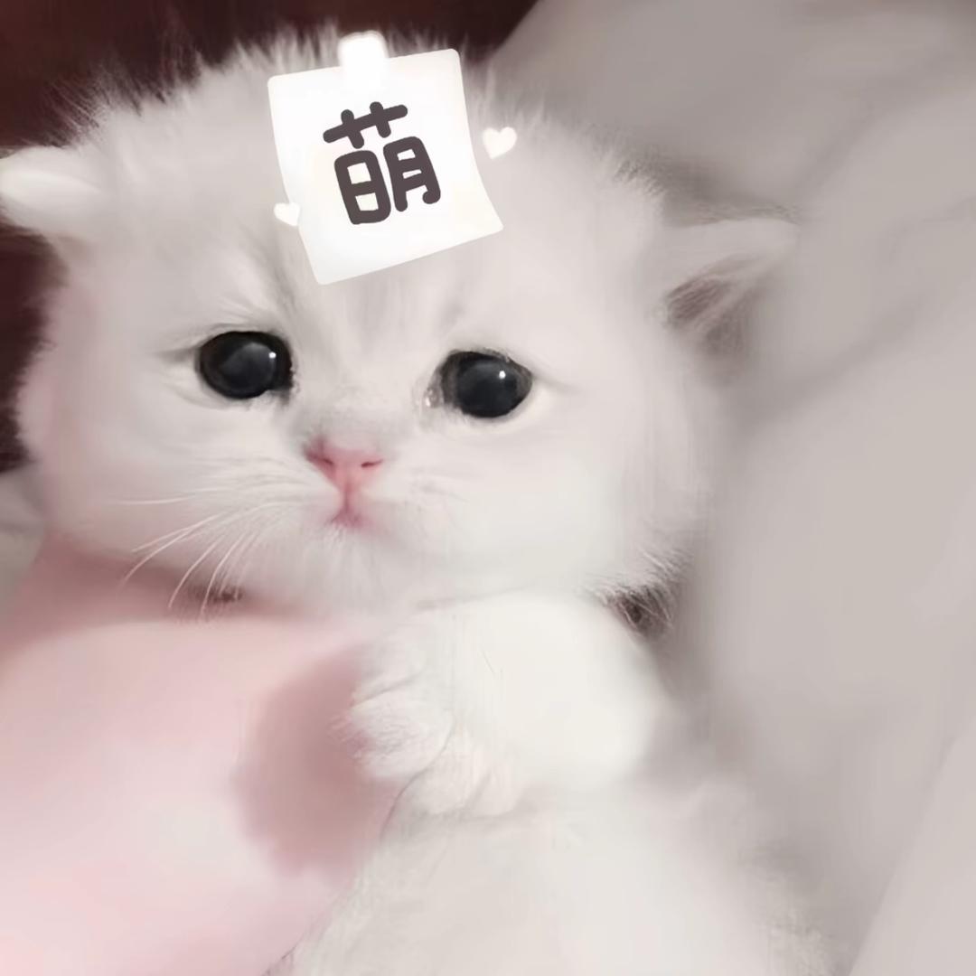 濠濠大王