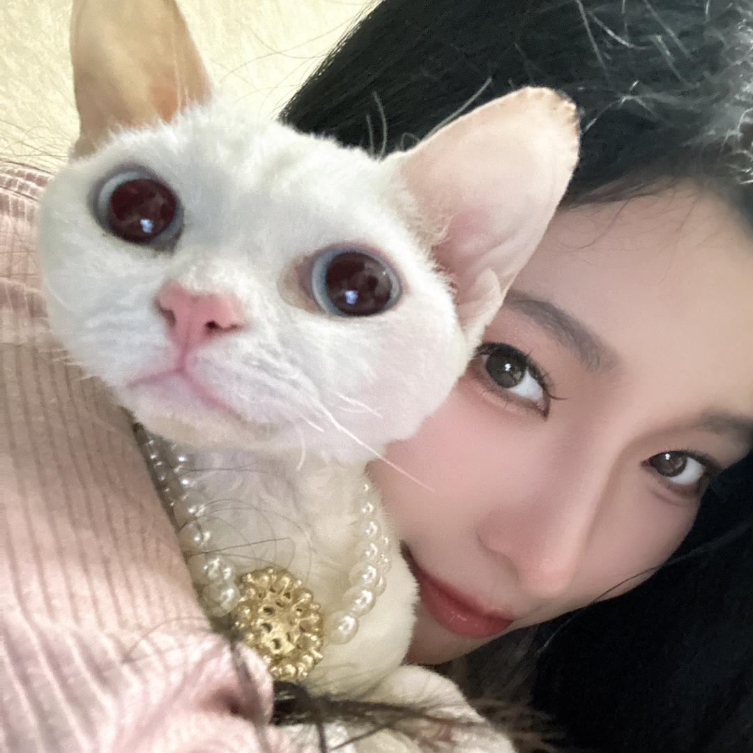关小杜屁事