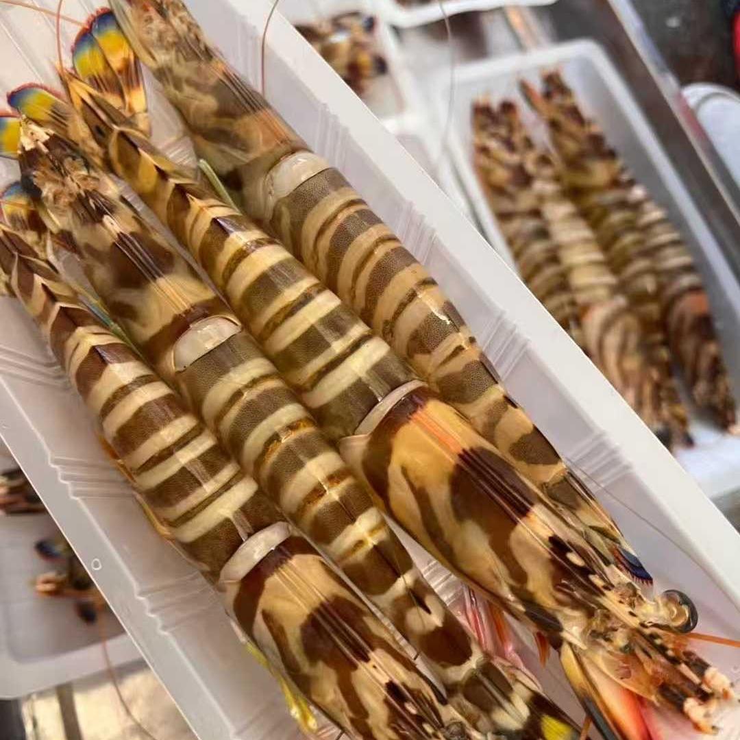 船悦生鲜工作室海鲜