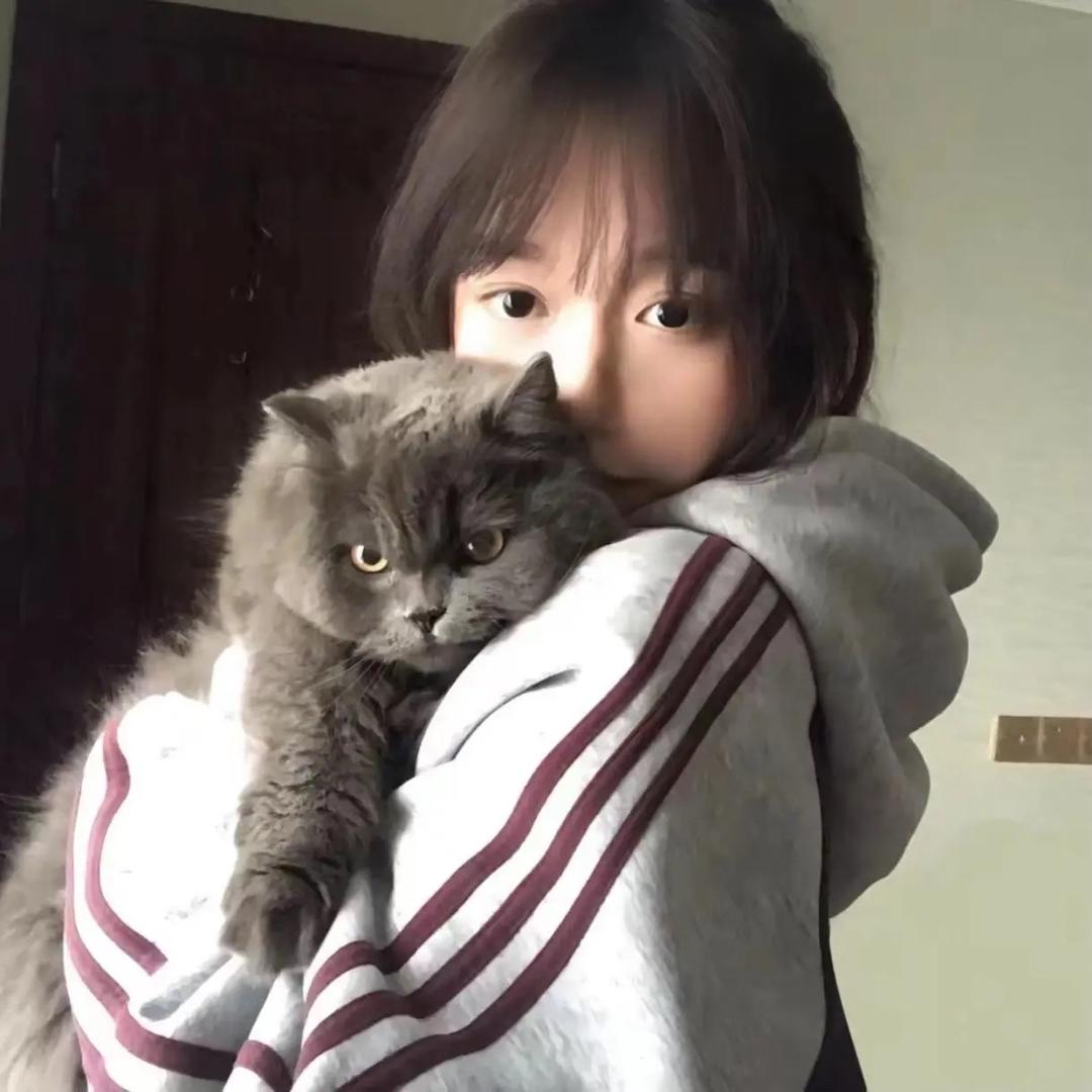 你总呆呆的.