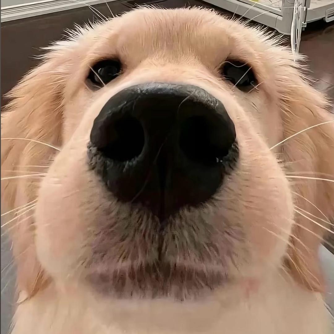 𝒞𝒽ℯ𝓃