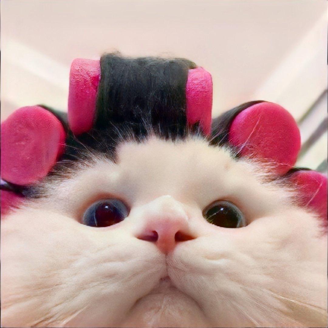 金金...