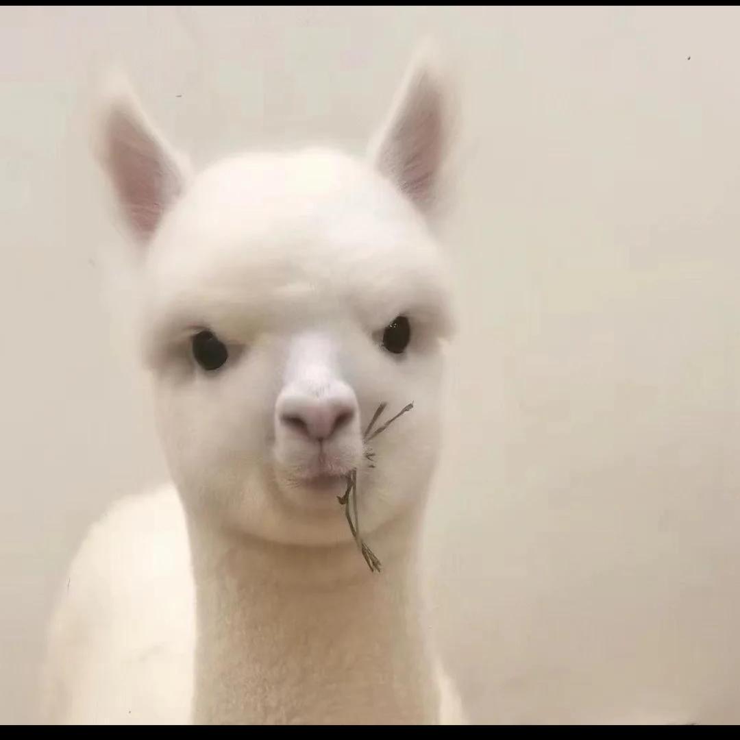 上上签☝️
