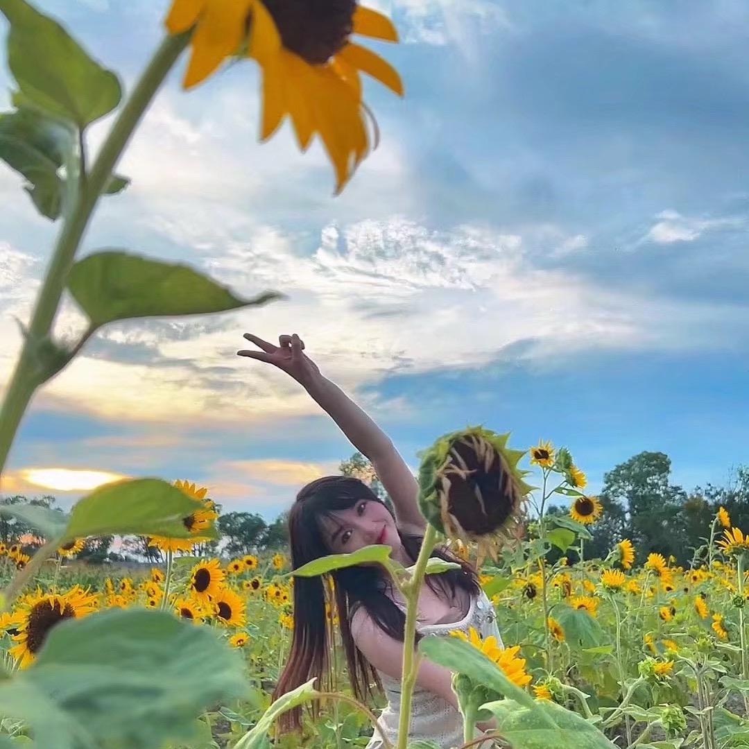 小花🌺（养号中）